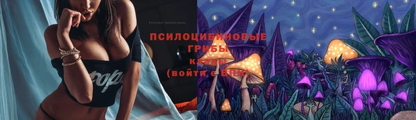 трава Белокуриха