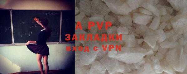 трава Белокуриха