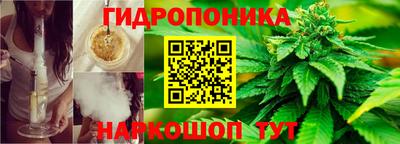 стафф Кимры