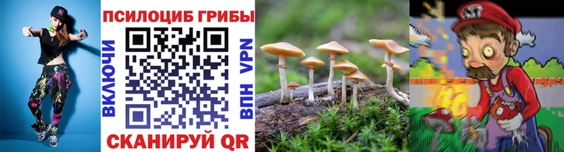 МЕГА   Луховицы  Галлюциногенные грибы прущие грибы  закладка 